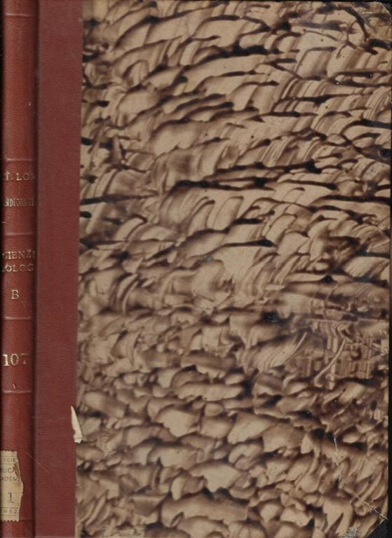 Biblioteca di Babele