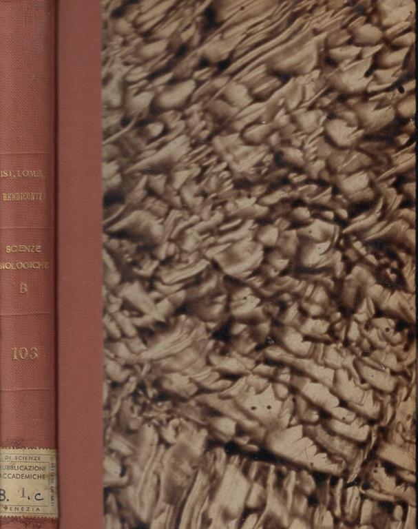 Biblioteca di Babele