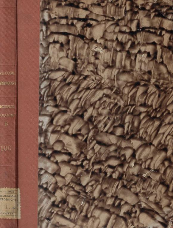 Biblioteca di Babele