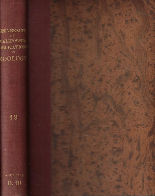 Biblioteca di Babele