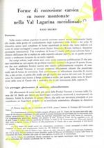 Forme di corrosione carsica su rocce montonate nella Val Lagarina Meridionale