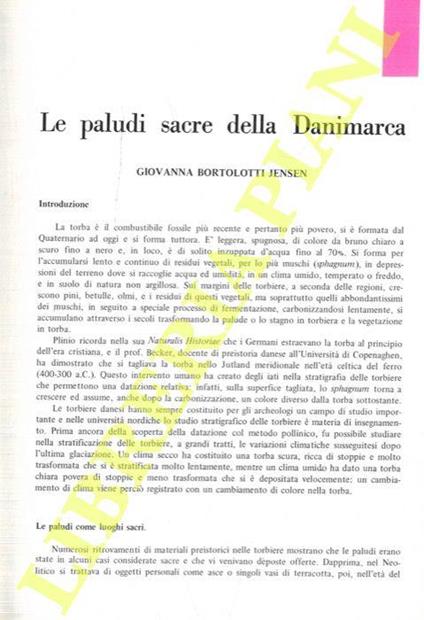 Le paludi sacre della Danimarca - copertina
