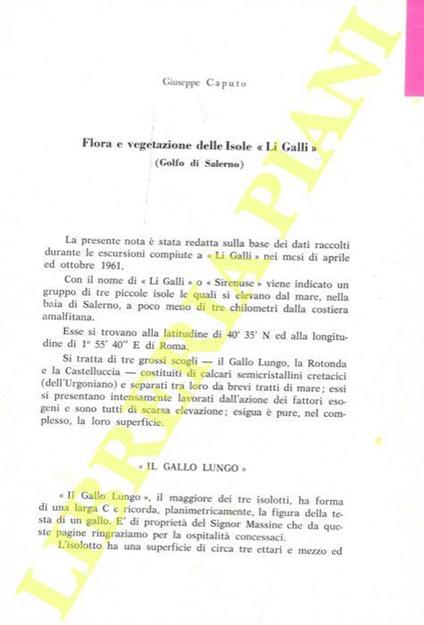 Flora e vegetazione delle Isole «Li Galli» (Golfo di Salerno) - Giuseppe Caputo - copertina