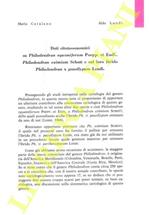 Dati citotassonomici su Philodendron squamiferum Poepp. et Endl., Philodendron eximium Schott e sul loro ibrido Philodendron + pausilypum Landi