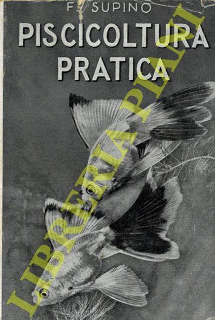 Piscicoltura pratica. Seconda edizione interamente rifatta - Felice Supino - copertina