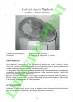 Visto al Museo : Septaria