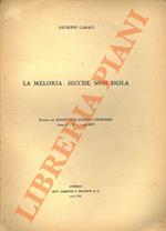 La Meloria: secche, non isola