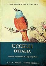 Uccelli d'Italia: Passeriformi I