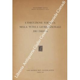 L' esecuzione forzata nella tutela giurisdizionale dei diritti - copertina