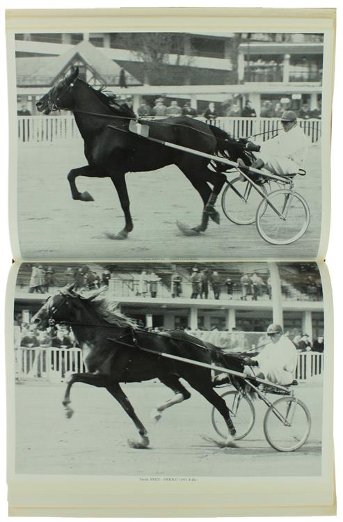 NEL MONDO DEL TROTTO