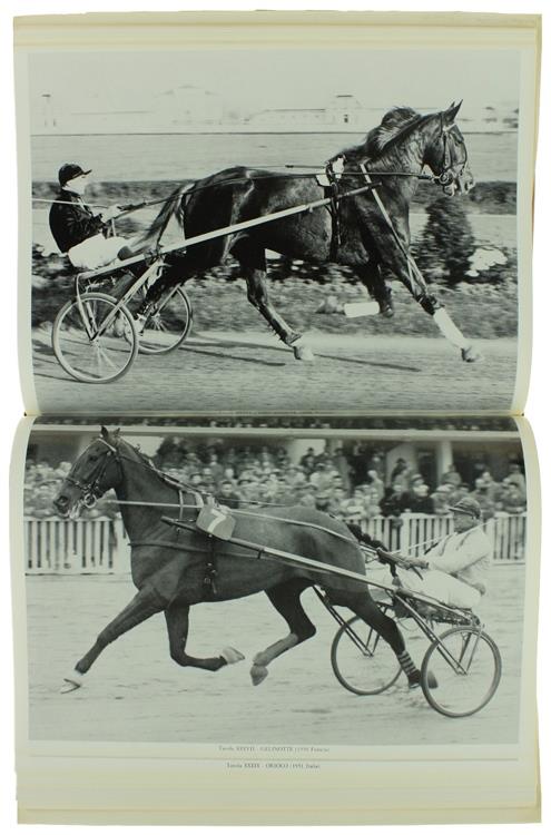 NEL MONDO DEL TROTTO