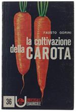La COLTIVAZIONE DELLA CAROTA