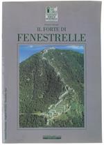 Il FORTE DI FENESTRELLE