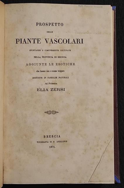 Prospetto delle Piante Vascolari - E. Zersi - Apollonio - 1871 - copertina