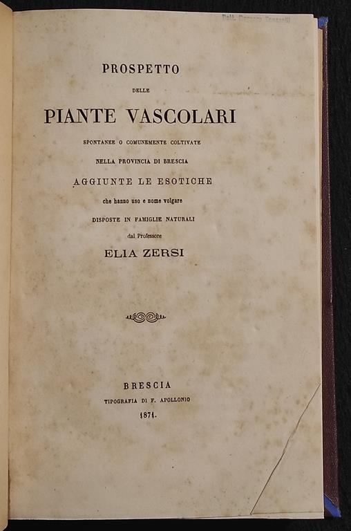 Prospetto delle Piante Vascolari - E. Zersi - Apollonio - 1871 - copertina