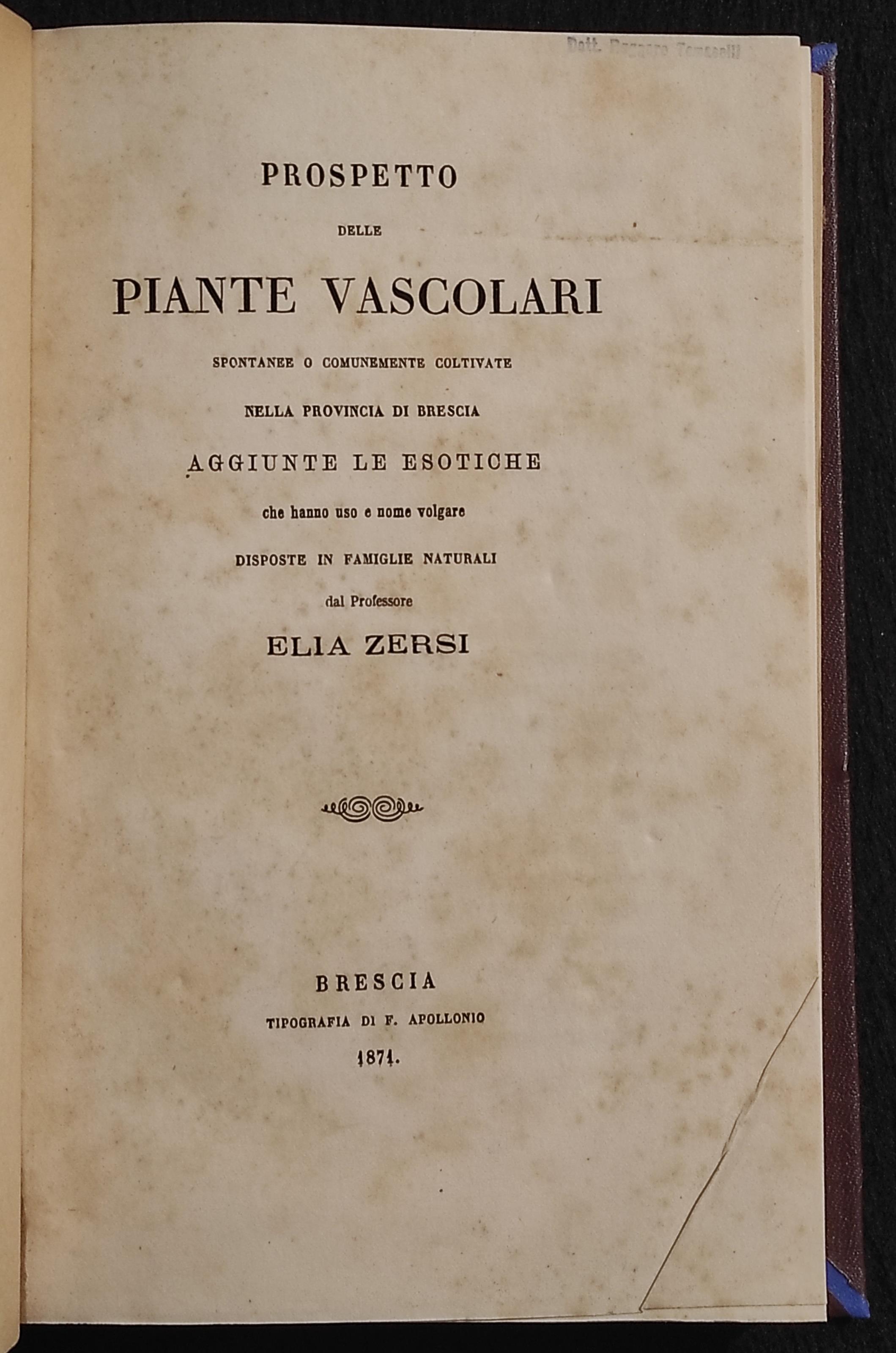 Prospetto delle Piante Vascolari - E. Zersi - Apollonio - 1871