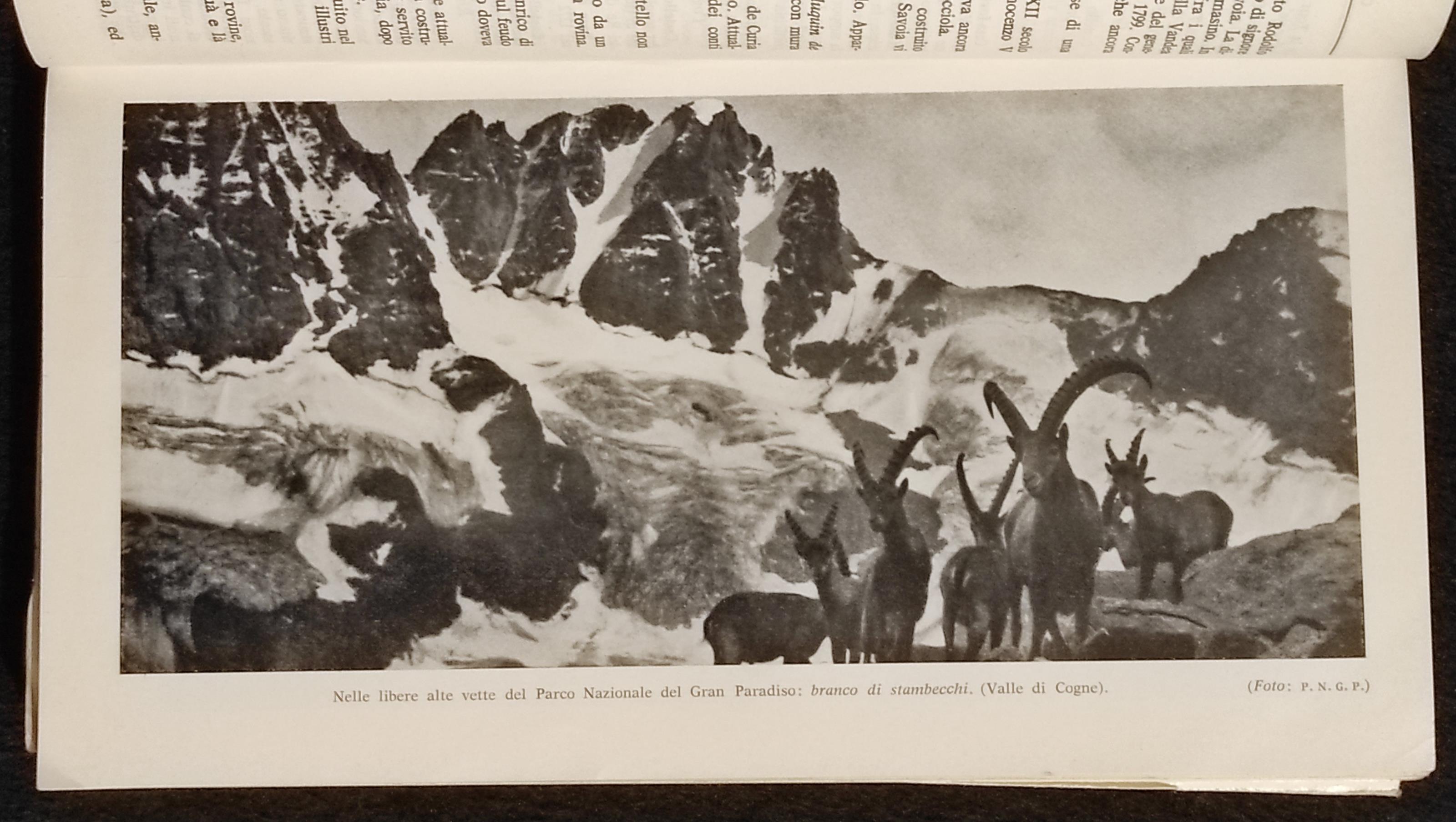 Guida della Regione Autonoma della Valle d'Aosta - Ed. Fanton - 1964