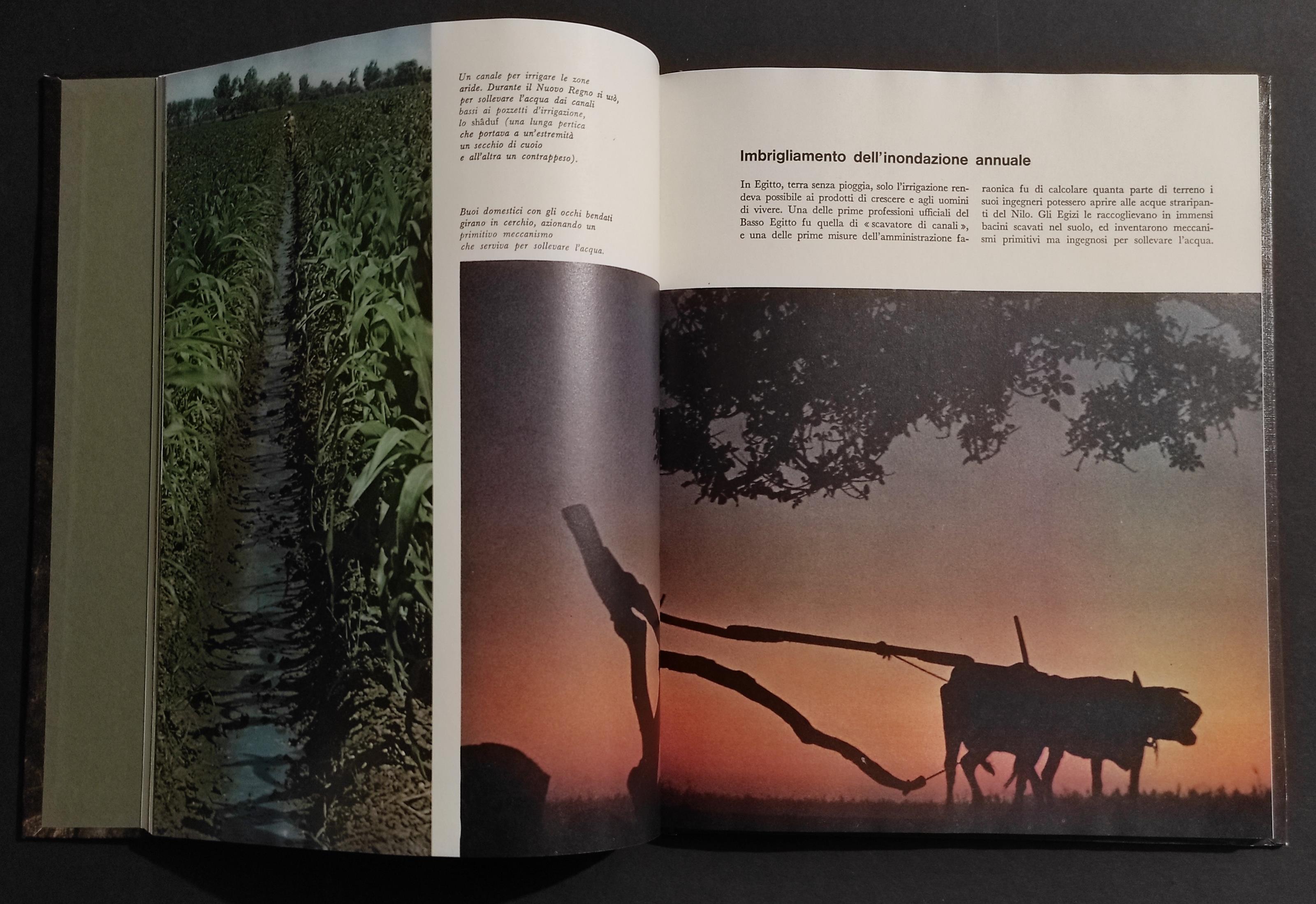 l'Antico Egitto - Le Grandi Età dell'Uomo - Ed. Mondadori - 1966