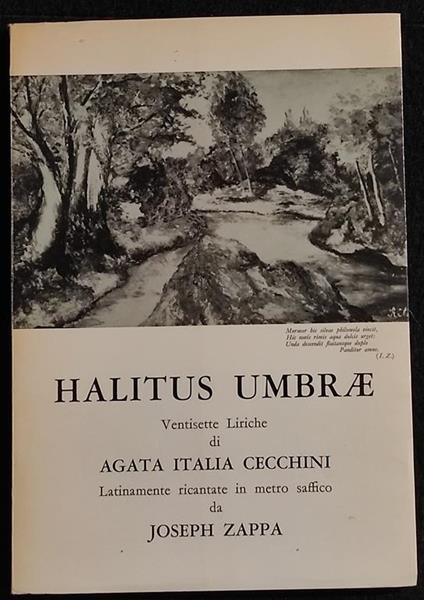 Halitus Umbrae - A. I. Cecchini - Ed. Stringa - 1966 - copertina