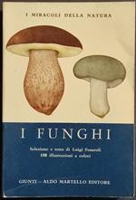 I Funghi - Miracoli Natura - L. Fenaroli - Ed. Martello - 1974