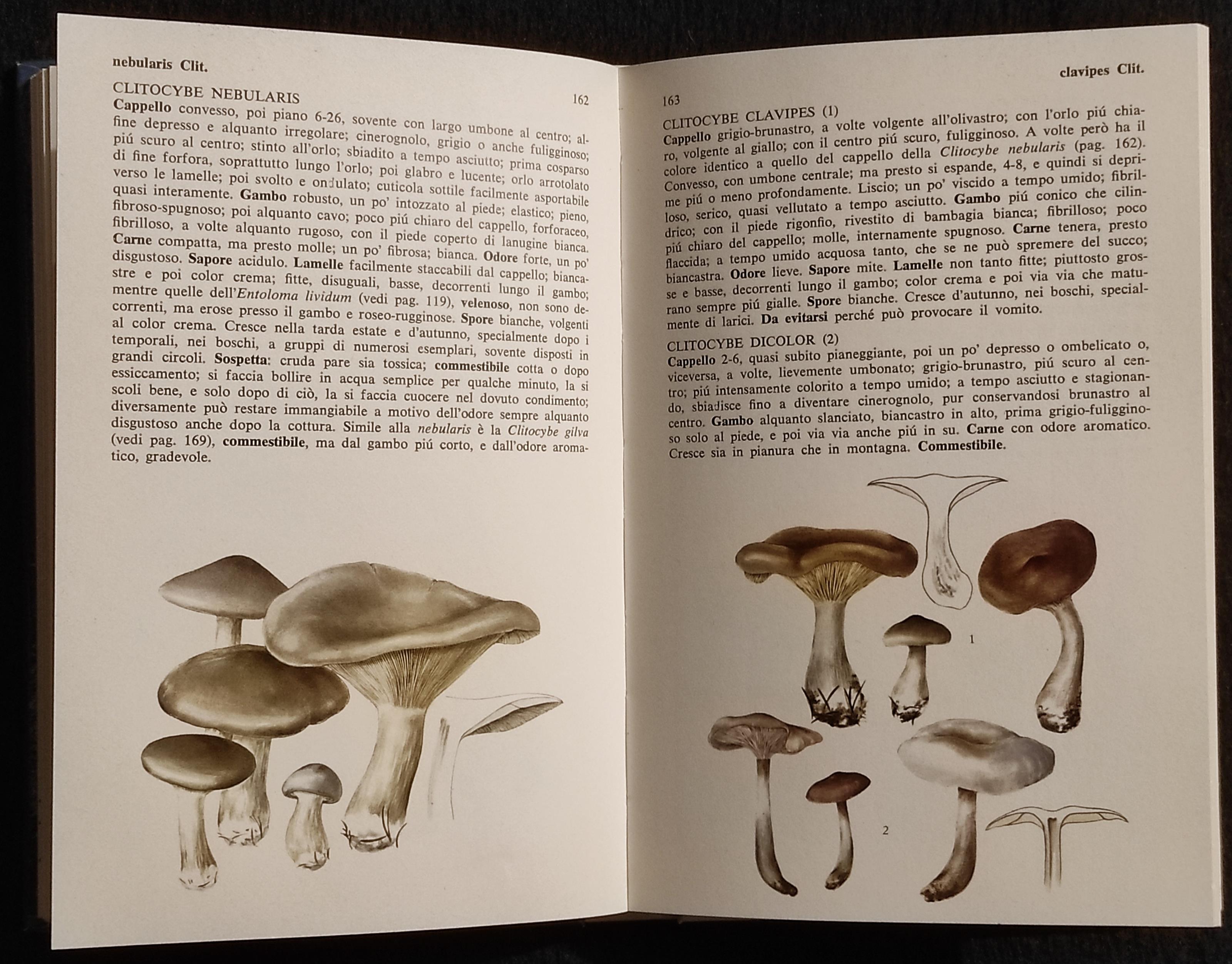 L' Atlante dei Funghi - G. Pace - Ed. Mondadori - 1980