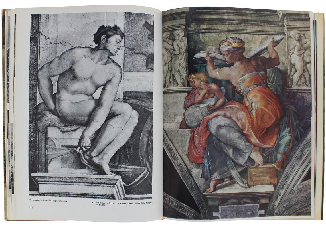 Michelangelo. Architettura, Pittura, Scultura