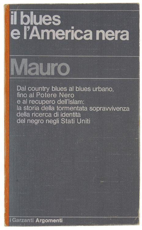 Il Blues E L'america Nera. Dal Country Blues Al Blues Urbano, Fino Al Potere Nero E Al Recupero Dell'islam… - Walter Mauro - copertina