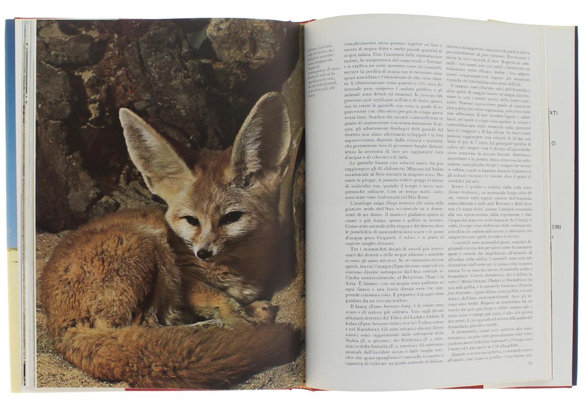 I Deserti. Meraviglie Della Natura