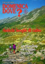 Domenica dove? 6: antichi luoghi di culto: 52 escursioni nel Trentino-Alto Adige