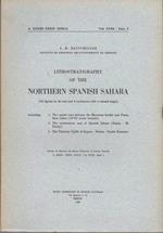 Lithostratigraphy of the Northern Spanish Sahara