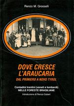 Dove cresce l'araucaria: dal Primerio al Novo Tyrol: contadini trentini (veneti e lombardi) nelle foreste brasiliane. Parte 3., Paranà 1874-1940