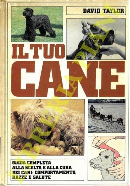 Il tuo cane - David Taylor - copertina