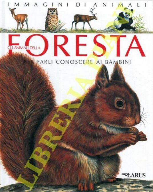Gli animali della foresta. Immagini di animali per farli conoscere ai bambini - Emilie Beaumont - copertina