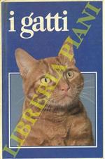 I gatti