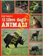 Il libro degli animali