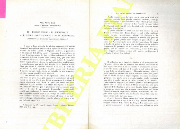 Il “Forest Negro” di Johnston e “Le nègre paléotropical” di G. Montandon (contributo al problema razziologico africano)