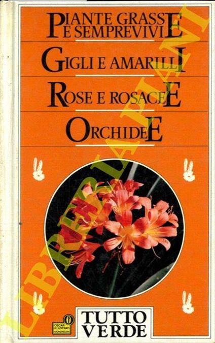 Tutto Verde. Guida alla coltivazione di piante e fiori. Piante grasse e semprevivi. Gigli e amarilli. Rose e Rosacee. Orchidee - Francesco Bianchini - copertina
