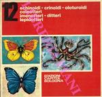 Echinoidi. Crinoidi. Oloturoidi. Coleotteri. Imenotteri. Ditteri. Lepidotteri