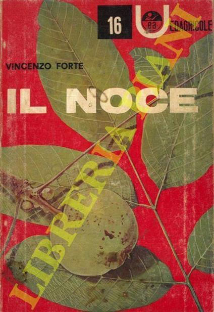Il noce - Vincenzo Forte - copertina