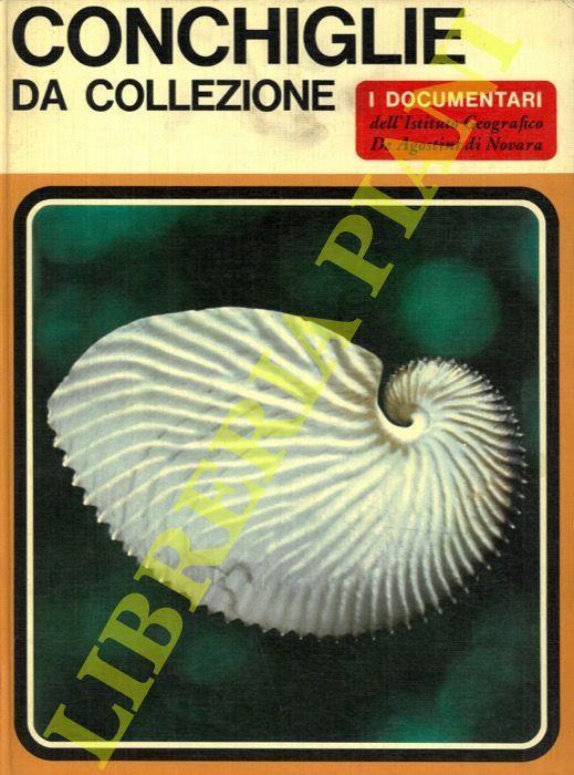 Conchiglie da collezione - Sergio Angeletti - copertina