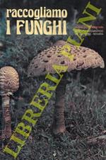 Raccogliamo i funghi