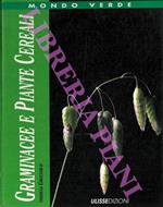 Graminacee e piante cereali