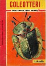 Coleotteri