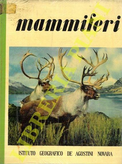 Mammiferi - Marcel Belvianes - copertina