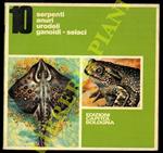 Serpenti. Anuri. Urodeli. Ganoidi. Selaci