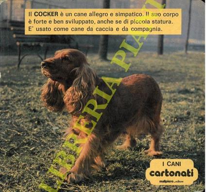 I cani - copertina