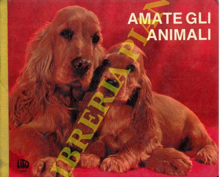 Amate gli animali. Il pony. La pecora allatta. I cigni sull'isolotto. Bue al sole. Gallina. Il cane Lassie
