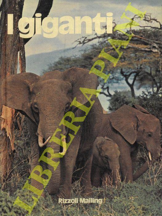 I giganti - copertina