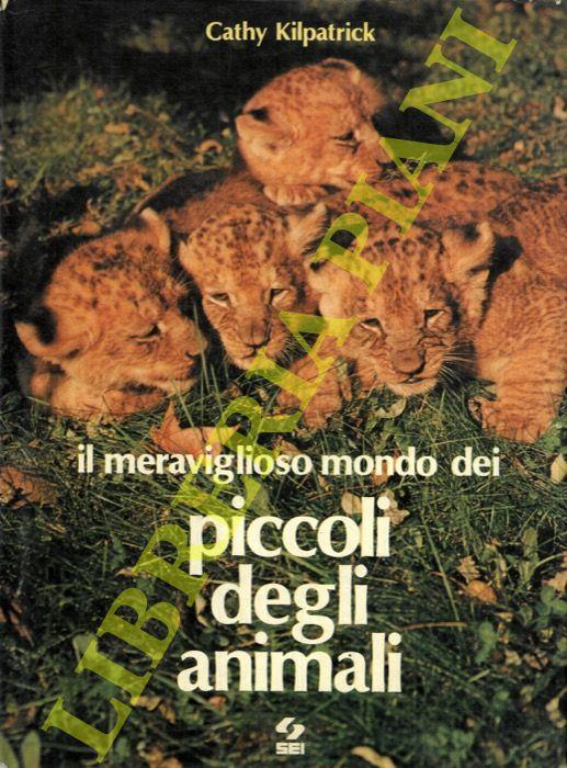 Libreria Piani