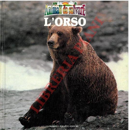 L' orso. Animali da salvare - copertina